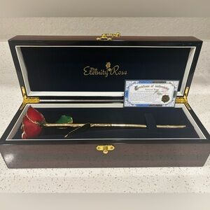 The Eternity Rose NIB